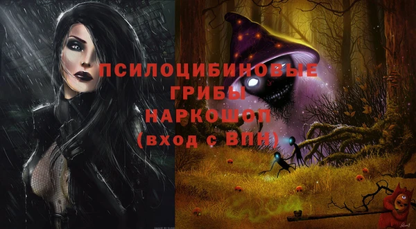 гидра Аркадак