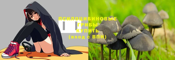 гидра Аркадак