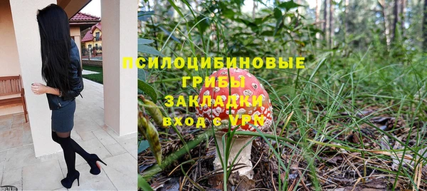 гидра Аркадак