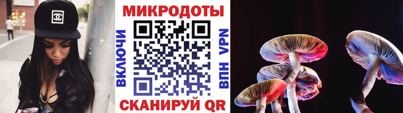 где купить   Салават  Псилоцибиновые грибы Psilocybine cubensis 